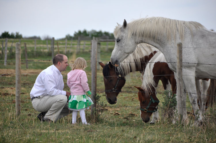 Meeting the horses 3